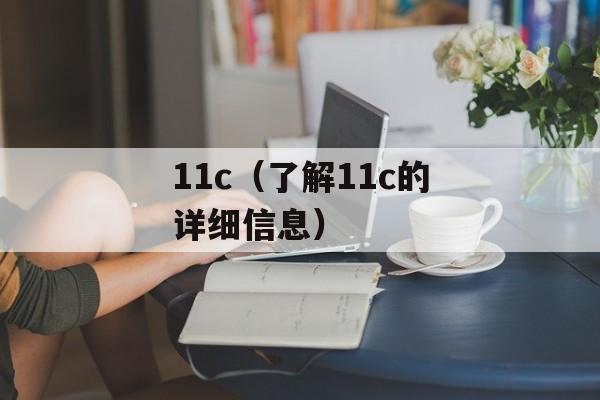 11c（了解11c的详细信息）-第1张图片-