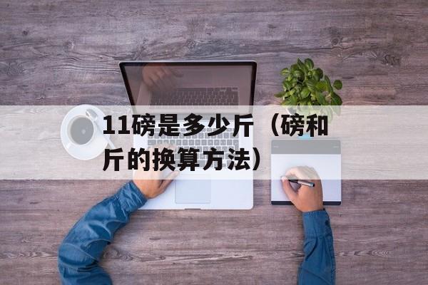 11磅是多少斤（磅和斤的换算方法）-第1张图片-