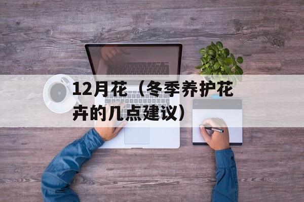 12月花（冬季养护花卉的几点建议）-第1张图片-