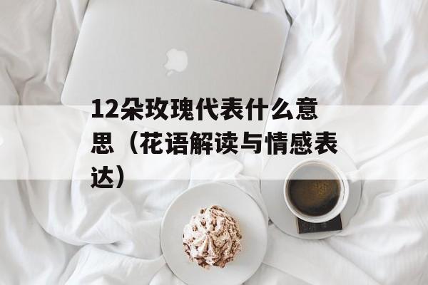 12朵玫瑰代表什么意思（花语解读与情感表达）-第1张图片-