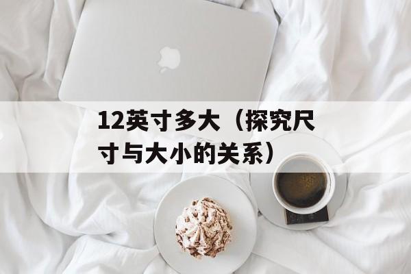 12英寸多大（探究尺寸与大小的关系）-第1张图片-