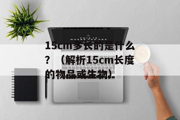 15cm多长的是什么？（解析15cm长度的物品或生物）-第1张图片-