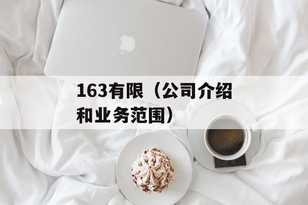 163有限（公司介绍和业务范围）-第1张图片-
