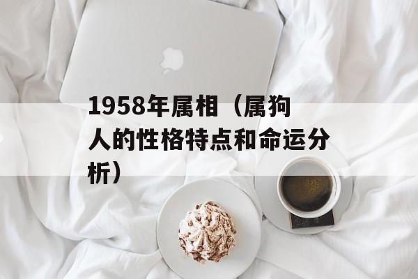 1958年属相（属狗人的性格特点和命运分析）-第1张图片-