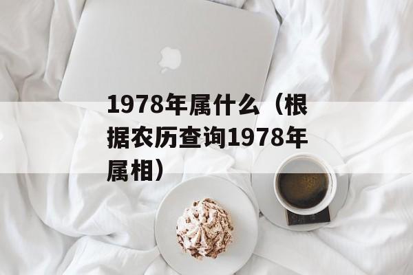 1978年属什么（根据农历查询1978年属相）-第1张图片-
