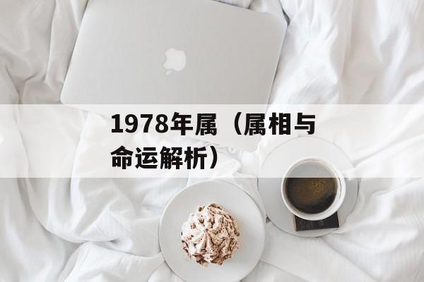 1978年属（属相与命运解析）-第1张图片-