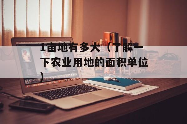 1亩地有多大（了解一下农业用地的面积单位）-第1张图片-