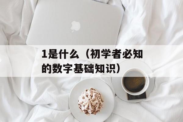 1是什么（初学者必知的数字基础知识）-第1张图片-