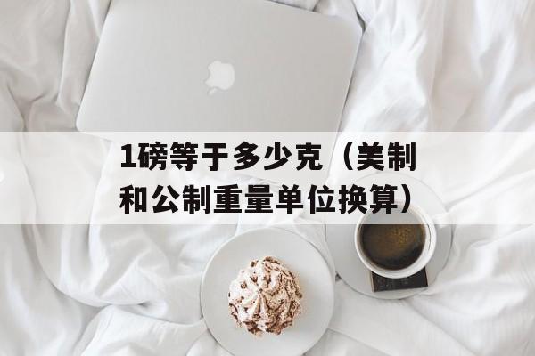 1磅等于多少克（美制和公制重量单位换算）-第1张图片-