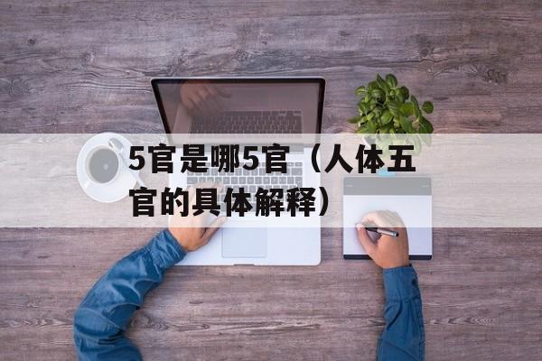 5官是哪5官（人体五官的具体解释）-第1张图片-