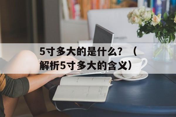 5寸多大的是什么？（解析5寸多大的含义）-第1张图片-