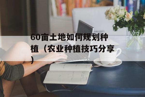 60亩土地如何规划种植（农业种植技巧分享）-第1张图片-