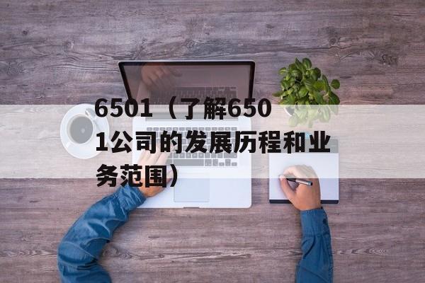 6501（了解6501公司的发展历程和业务范围）-第1张图片-