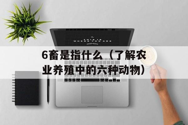 6畜是指什么（了解农业养殖中的六种动物）-第1张图片-
