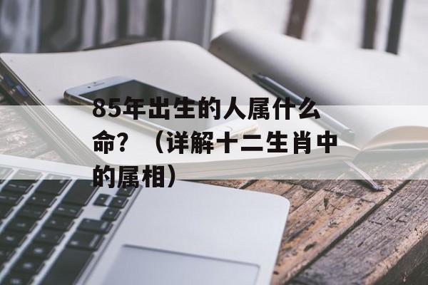 85年出生的人属什么命？（详解十二生肖中的属相）-第1张图片-