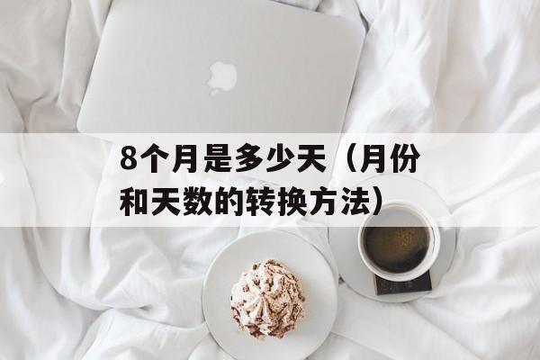 8个月是多少天（月份和天数的转换方法）-第1张图片-