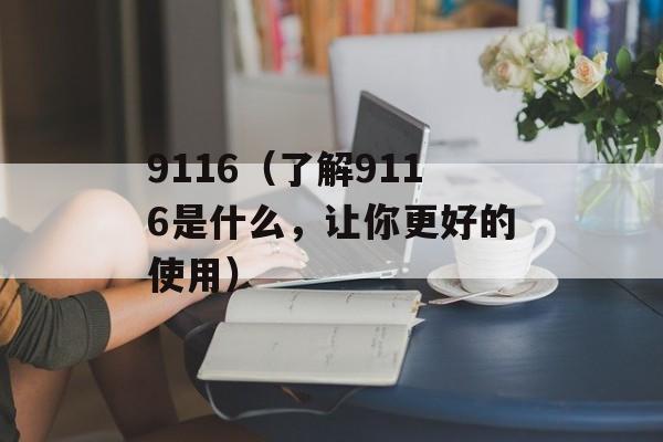 9116（了解9116是什么，让你更好的使用）-第1张图片-