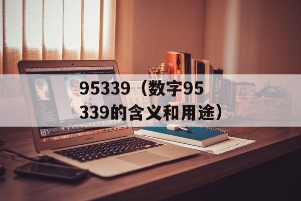 95339（数字95339的含义和用途）-第1张图片-