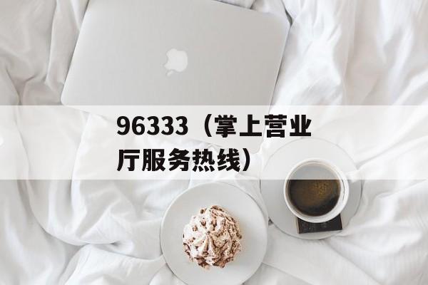 96333（掌上营业厅服务热线）-第1张图片-