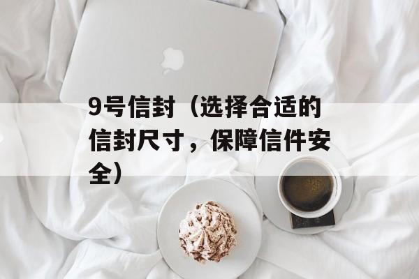 9号信封（选择合适的信封尺寸，保障信件安全）-第1张图片-