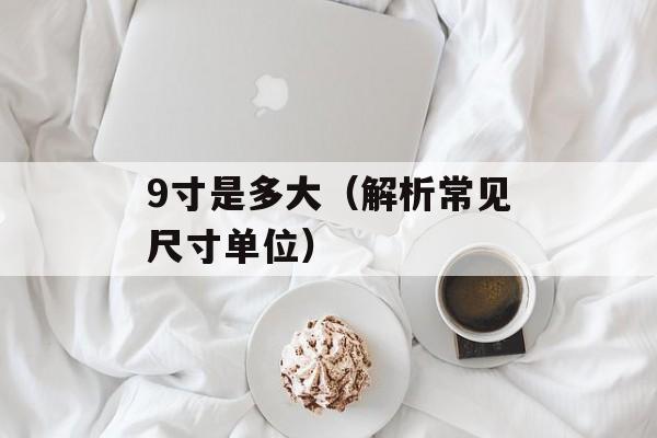 9寸是多大（解析常见尺寸单位）-第1张图片-