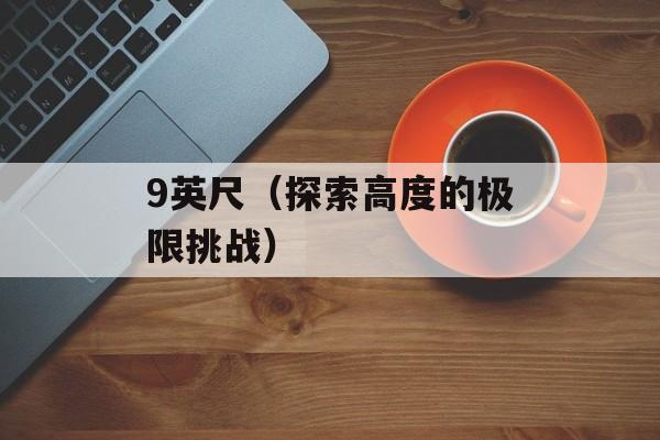 9英尺（探索高度的极限挑战）-第1张图片-
