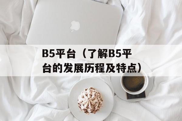 B5平台（了解B5平台的发展历程及特点）-第1张图片-