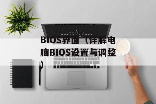 BIOS界面（详解电脑BIOS设置与调整）-第1张图片-