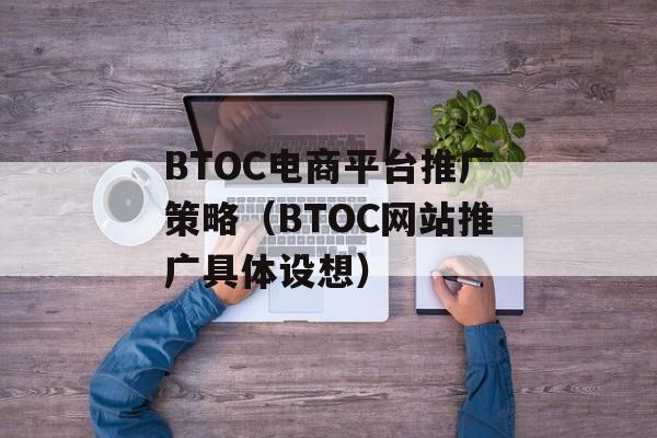 BTOC电商平台推广策略（BTOC网站推广具体设想）-第1张图片-