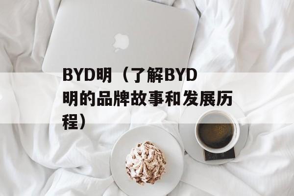 BYD明（了解BYD明的品牌故事和发展历程）-第1张图片-