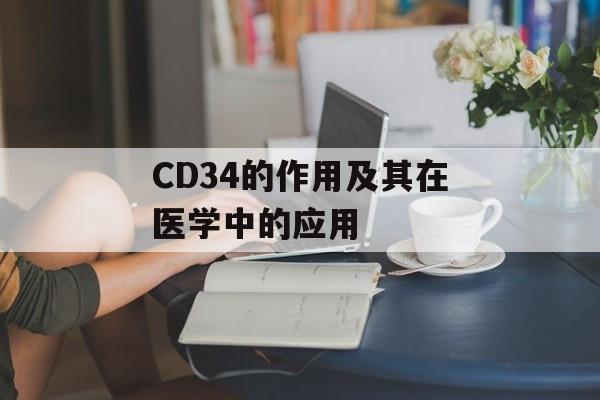 CD34的作用及其在医学中的应用-第1张图片-