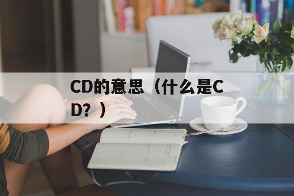 CD的意思（什么是CD？）-第1张图片-