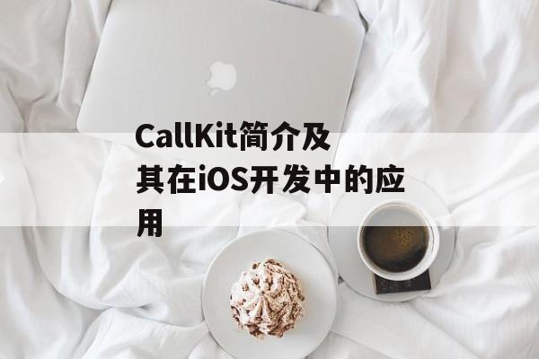 CallKit简介及其在iOS开发中的应用-第1张图片-