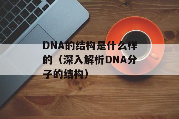 DNA的结构是什么样的（深入解析DNA分子的结构）-第1张图片-