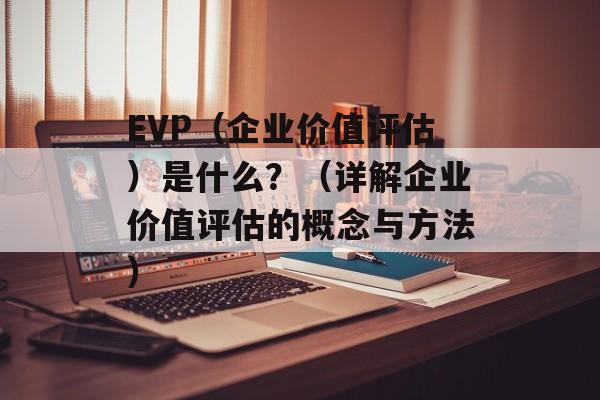 EVP（企业价值评估）是什么？（详解企业价值评估的概念与方法）-第1张图片-