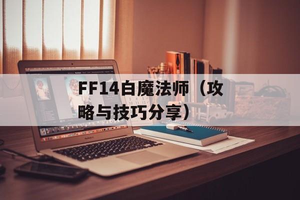 FF14白魔法师（攻略与技巧分享）-第1张图片-