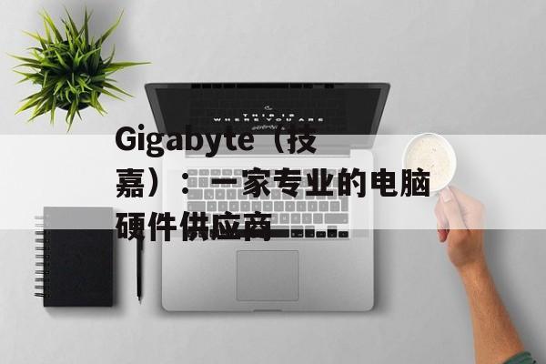 Gigabyte（技嘉）：一家专业的电脑硬件供应商-第1张图片-