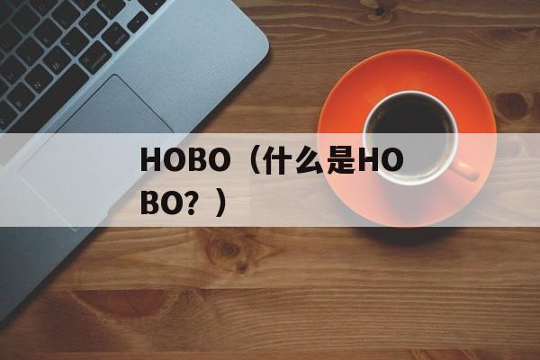 HOBO（什么是HOBO？）-第1张图片-