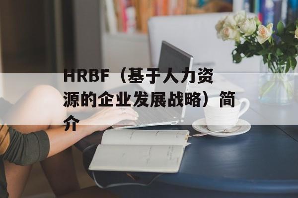 HRBF（基于人力资源的企业发展战略）简介-第1张图片-