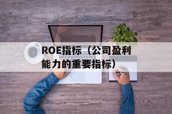 ROE指标（公司盈利能力的重要指标）-第1张图片-
