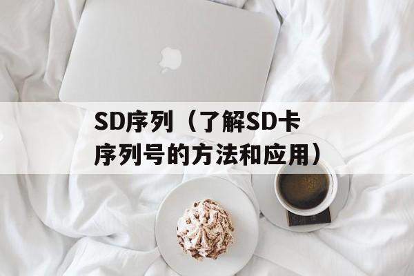 SD序列（了解SD卡序列号的方法和应用）-第1张图片-