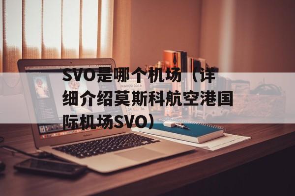 SVO是哪个机场（详细介绍莫斯科航空港国际机场SVO）-第1张图片-