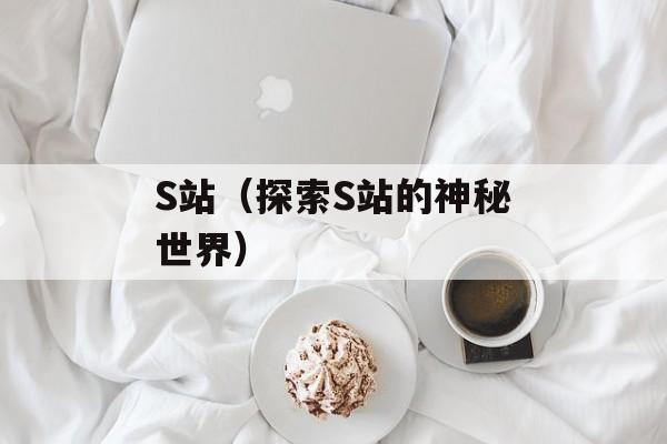 S站（探索S站的神秘世界）-第1张图片-