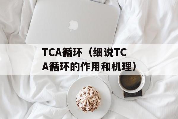 TCA循环（细说TCA循环的作用和机理）-第1张图片-