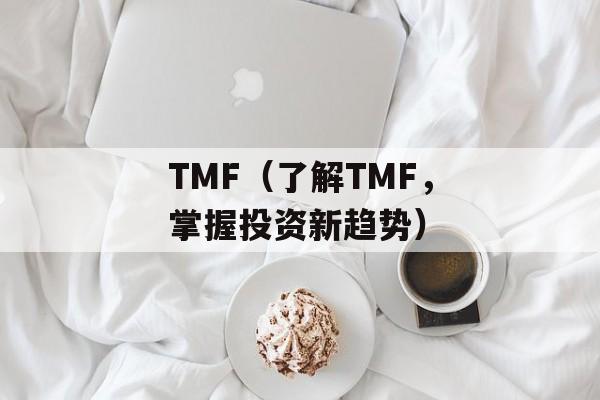 TMF（了解TMF，掌握投资新趋势）-第1张图片-