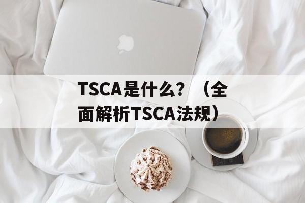 TSCA是什么？（全面解析TSCA法规）-第1张图片-