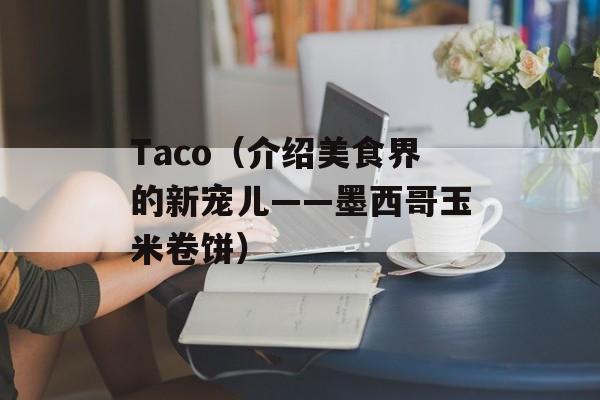 Taco（介绍美食界的新宠儿——墨西哥玉米卷饼）-第1张图片-