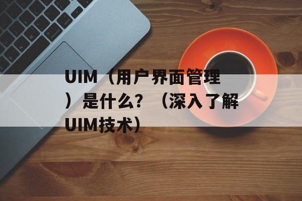 UIM（用户界面管理）是什么？（深入了解UIM技术）-第1张图片-