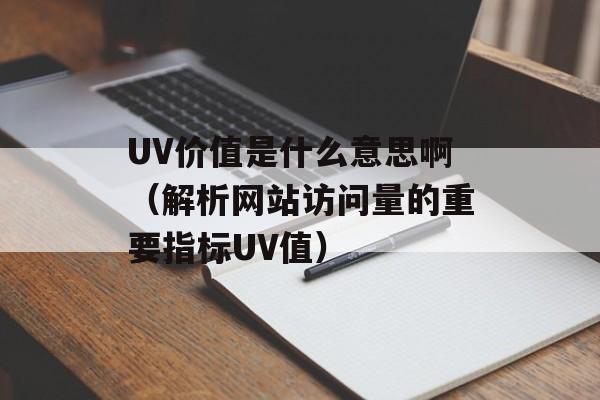 UV价值是什么意思啊（解析网站访问量的重要指标UV值）-第1张图片-