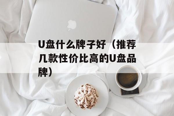 U盘什么牌子好（推荐几款性价比高的U盘品牌）-第1张图片-